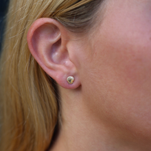 Load image into Gallery viewer, Sunrise Shell Stud Earring 14kt Gold