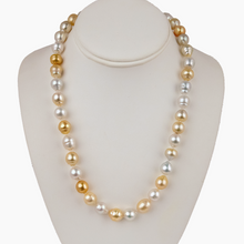 Load image into Gallery viewer, Dari Golden South Sea Pearl Y Strand