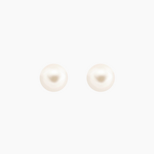 Load image into Gallery viewer, Large White South Sea Pearl Studs 14kt Gold
