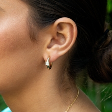 Load image into Gallery viewer, Pavati Hoop Earrings