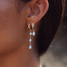 Load image into Gallery viewer, Akoya Keshi Pearl Huggie