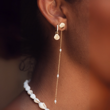 Load image into Gallery viewer, Tidepool Shell Huggies