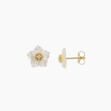 Load image into Gallery viewer, Celine Studs
