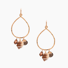 Load image into Gallery viewer, Halia Chocolate Shell Earrings