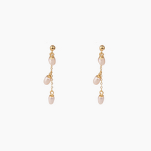 Load image into Gallery viewer, Reanna Earrings