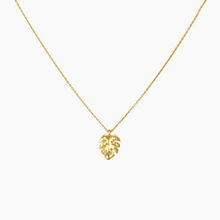 Load image into Gallery viewer, Solid 14kt Gold Tiny Monstera Necklace