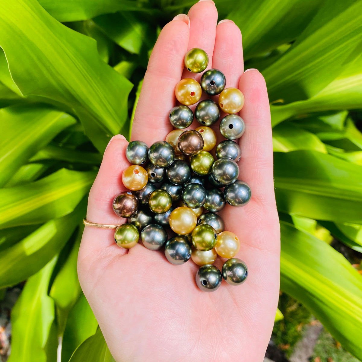 Real Pearls VS. Faux Pearls MishaHawaii