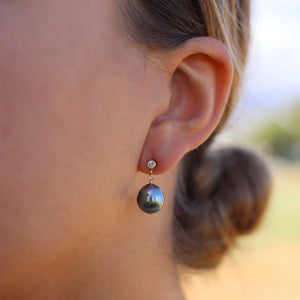 Naomi Tahitian Drop Studs