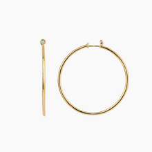 Load image into Gallery viewer, Priscilla Opal Hoop Earrings