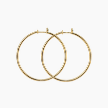 Load image into Gallery viewer, Priscilla Opal Hoop Earrings