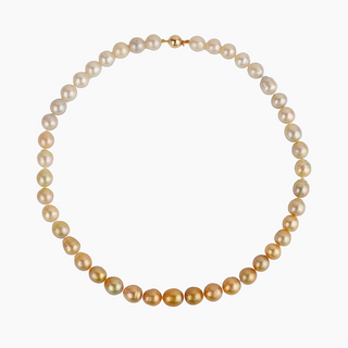 A strand of golden south sea pearls with a range of colors from porcelain to canary, knotted and fastened with a gold filled clasp.
