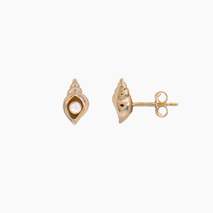 Moana Shell Stud