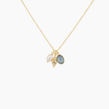 Load image into Gallery viewer, Katarina Sea Charm Necklace