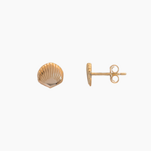 Load image into Gallery viewer, Eternal Shell Earrings