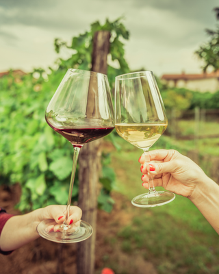 The Goddess Getaway: Napa Harvest Experience