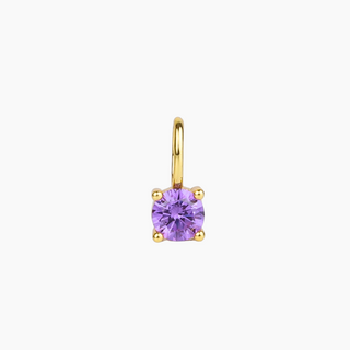 Amethyst Charm