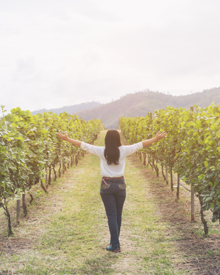 The Goddess Getaway: Napa Harvest Experience