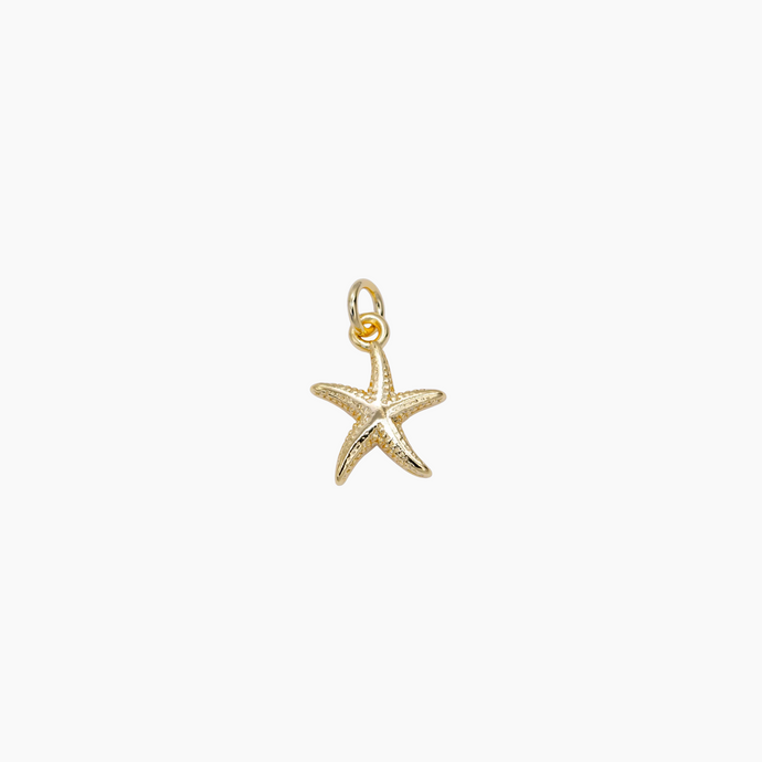 Starfish Charm