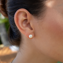 画像をギャラリービューアに読み込む, Akoya Pearl Studs 14kt Gold