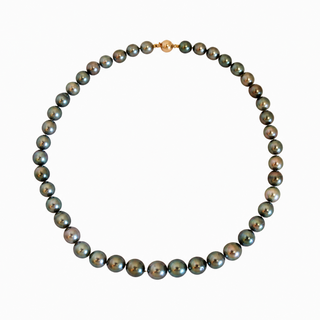 Ayla II Tahitian Pearl Strand
