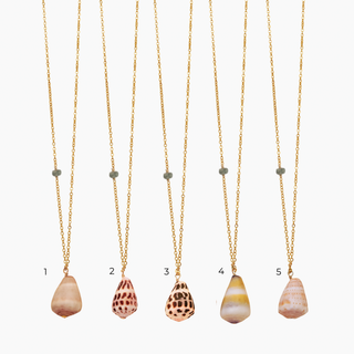 Long Shell Necklace