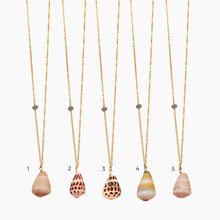 Load image into Gallery viewer, Long Shell Necklace