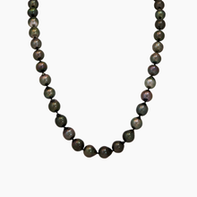 画像をギャラリービューアに読み込む, Fiji Tahitian Strand