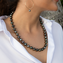 画像をギャラリービューアに読み込む, Fiji Tahitian Strand