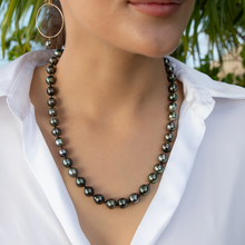 画像をギャラリービューアに読み込む, Fiji Tahitian Strand