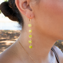 Load image into Gallery viewer, Elima Lokelani Earrings