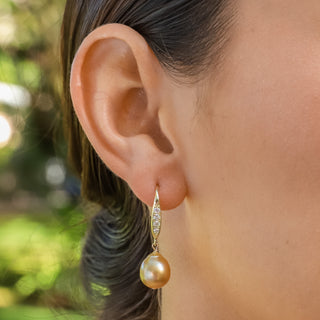 Golden South Sea Pearl Drop Earrings with cz french earwires on model