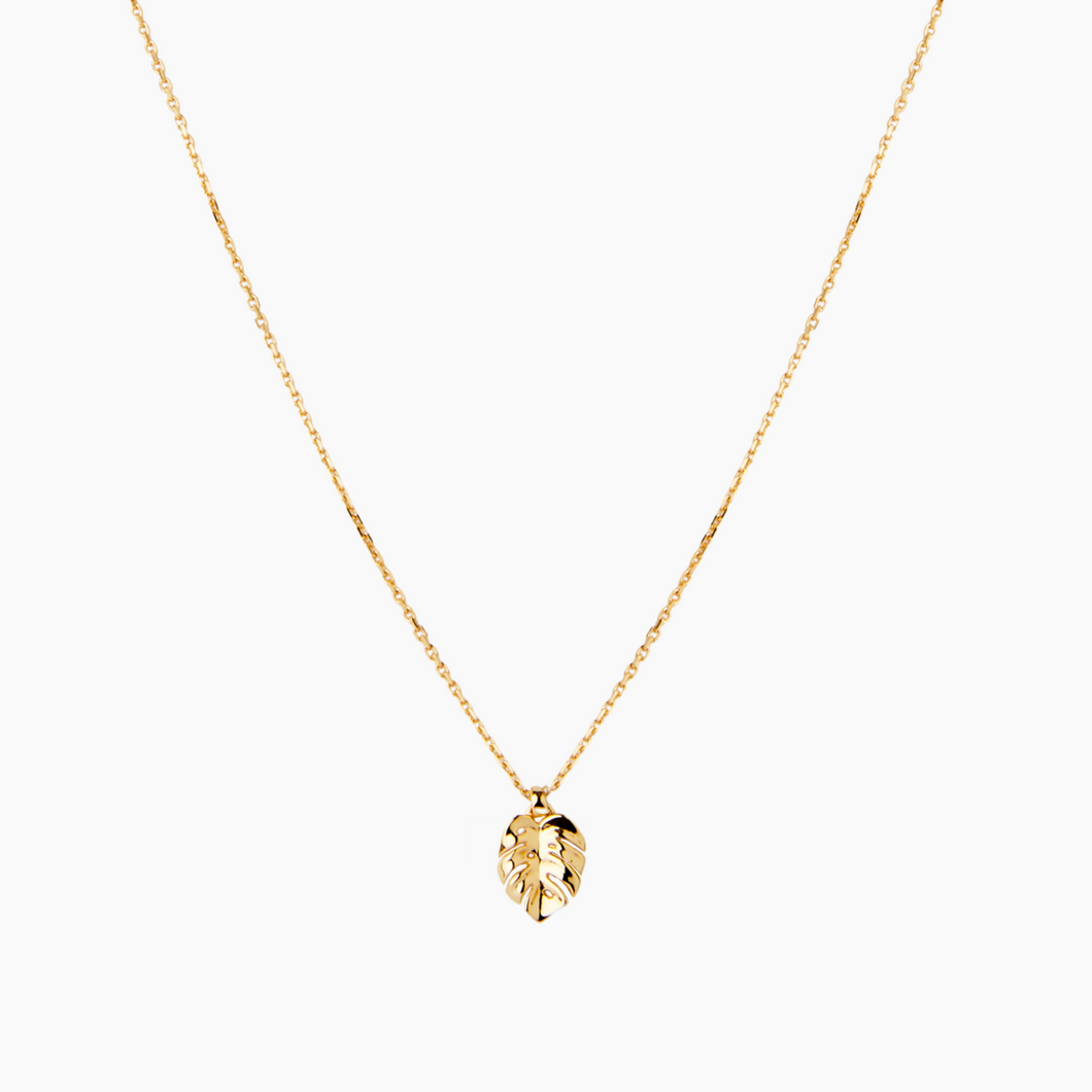 Gold Tiny Monstera Necklace Solid 14kt