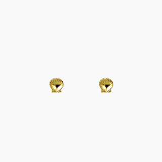 Sunrise Shell Stud Earring 14kt Gold