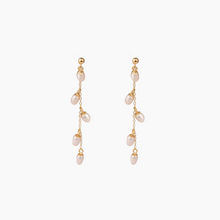 Load image into Gallery viewer, Rebecca Earrings