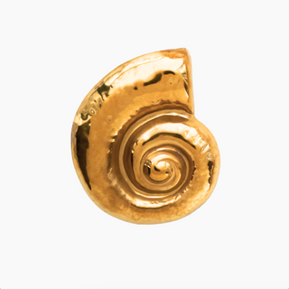 Gold Nautilus Shell Brooch