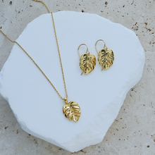 Load image into Gallery viewer, Monstera Gift Set