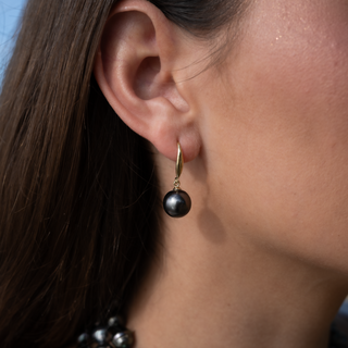 Tahitian pearl French earrings featuring a 10mm natural pearl on a sleek gold vermeil hook.