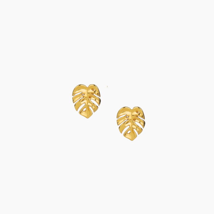 Tiny Monstera Studs