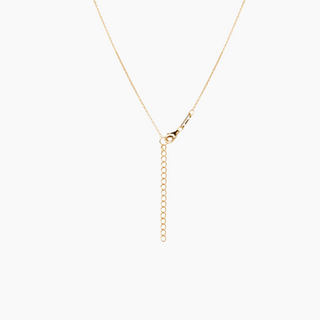 Lettie Shell Necklace