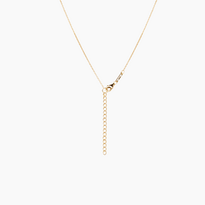 Lettie Shell Necklace