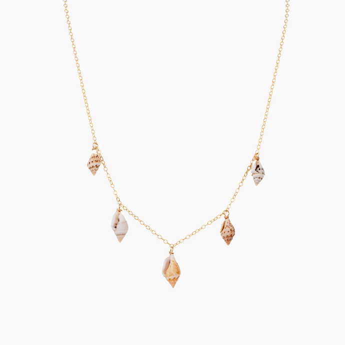 Solana Shell Necklace