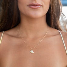 Load image into Gallery viewer, Angel Wing Shell Necklace