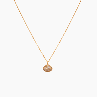 gold shell necklace with pearl inside