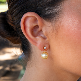 Golden South Sea Pearl Earrings on post setting with czs on model