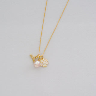 Hibiscus Charm
