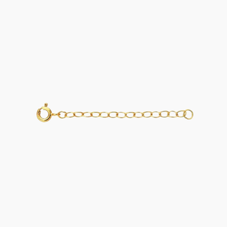 14kt Gold Filled Necklace Extension