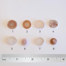 画像をギャラリービューアに読み込む, プカシェルバングル