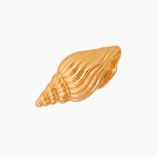 Triton Shell Brooch