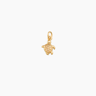 Turtle Charm