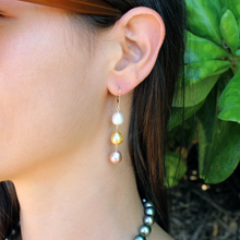 Load image into Gallery viewer, Lanai Koi Earring